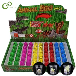 60 -stcs met retailbox Magic Water broedende inflatie groeiende dinosaurus eieren speelgoed voor kinderen educatieve nieuwigheid Gag Toys GYH 220622