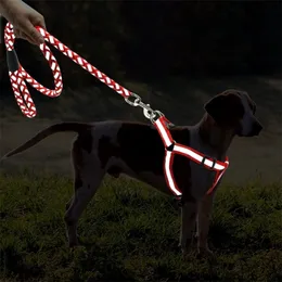 Reflective Dog and Leash Set Traction Rope Luminous Collar Chad Chest Strap Dog Accessories Pet Supplies French Bulldog 220610