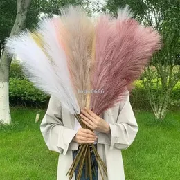 Sublimation Decorative Flowers & Wreaths 1Branch 12Forks 86cm Artificial Pampas Grass Decor Fake Reed Simulation Flower Plant Wedding Party
