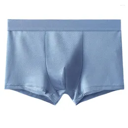 Underpants Boxer Höschen Herren Eisseide Boxer Unterwäsche Männer Mesh Löcher atmungsaktive sexy Shorts Männliche anti-bakterielle Cuecasunderpants