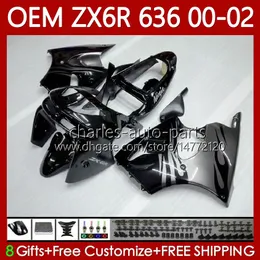 Einspritzkörper für KAWASAKI NINJA ZX 6R 600 CC 6 R ZX-636 ZX636 ZX6R Schwarze Flammen 00 01 02 Karosserie 133Nr. 70 ZX600 ZX 636 600CC ZX-6R 2000 2001 2002 ZX-600 00-02 OEM-Verkleidungen