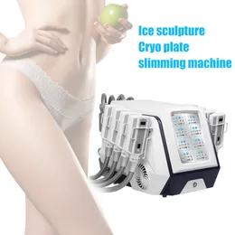 Professionell CryOlipolysy Cryotherapy Cryoskin Fat Minska maskinen 8 Cryo och värmeplatta Kroppsbantning