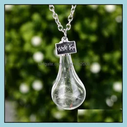 Pendant Necklaces Pendants Jewelry Wish Necklace Drift Bottle Real Dandelion Crystal Sier Chain For Women Girl Fashion Wholesale Drop Deli