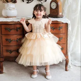 Kız Elbiseleri Çocukların Güzellik Pageant Elbise Prenses Düz Renk Kek Kız Bebek İlk Doğum Günü Dressgirl's