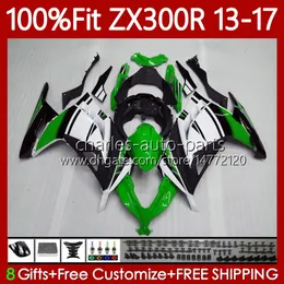 OEM Body for Kawasaki Ninja EX ZX 3R 300R ZX-3R ZX-300R 13-17 125NO.16 Fabriksgrön ex300R ZX300R ZX300 ZX3R 13 14 15 16 17 Ex-300 2013 2014 2015 2016 2017 Injektionsfeoking