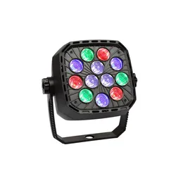 Etap Par Light RGBW LED PAR LIGHT DMX 512 Aktywowane światła światła Disco Party na wakacje KTV DJ Ślubne oświetlenie