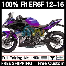 Spritzgusskörper für KAWASAKI NINJA 650R ER 6F ER-6F ER6 F 2012 2013 2014 2015 2016 Karosserie 11DH.70 650-R 650 R 2012-2016 ER6F 12 13 14 15 16 OEM-Verkleidung lila schwarz