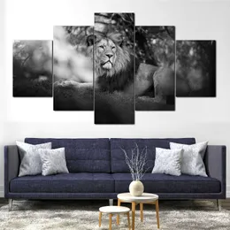 5 Piece Animal Poster Modular Gray Young Lion Lying on All Fours Wall Art Canvas Paintings Wall Decorations for Living Room