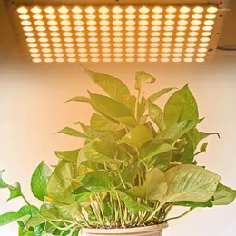 Grow Lights Full Spectrum Thin Plant Light Growing for Greenhouse Flower Planting 85-265V Lightgrow