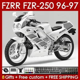 Yamaha FZR250RR FZR250-R FZR-250R FZR250R 96-97 차체 144NO.119 FZR-250 FZR250 R RR 1996 1997 FZRR FZR 250R 250RR FZR 250 R RR 96 97 FAIRING WHINE GRAY BLK