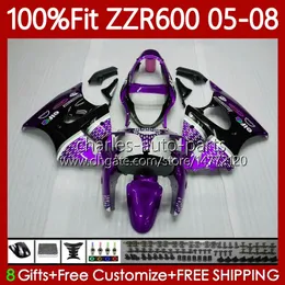 OEM-Spritzgussform für KAWASAKI NINJA ZZR600 600CC Karosserie 100 % passend für 600 CC 05–08 Karosserie 134Nr