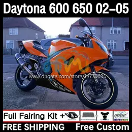 OEM Body для Daytona650 Daytona600 2002-2005 Bodywork 7dh.205 Daytona 650 600 CC 600CC 650CC 02 03 04 05 Daytona 600 2002 2003 2004 2005 Abs Fairing Kit Kit Orange