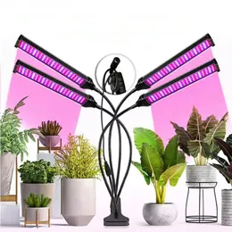 LED Grow Light 20W 40W 60W 80W DC 5V/12V szklarnia hydroponiczne rośliny światła Sadzonki Flower Home Tent