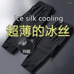 Men's Pants Mesh Breathable Casual Summer Thin Stretch Men's Ice Silk Sports Air Conditioning Cold Loose PantsMen's Drak22