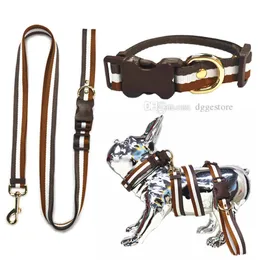 Hands-Free Dog Leashes för medelstora och stora hundar Professionella Super Long Leash Collars Set för träning Walking Jogging Running Your Pet Classic Stripe XL B80