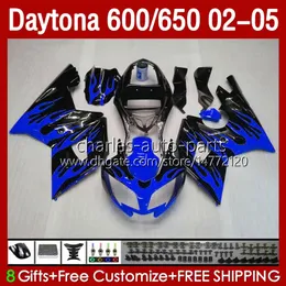 Bodys para Daytona600 Daytona650 02-05 Bodywork 132No.32 Cowling Daytona Azul Chamas 650 600 CC 02 03 04 05 Daytona 600 2002 2003 2005 ABS Fairing Kit