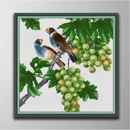 Two parrots 5 DIY cross stitch Embroidery Tools Needlework sets counted print on canvas DMC 14CT 11CT cloth