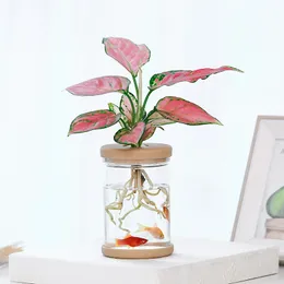 Transparent hydroponisk vasimitation Glas Sidlös plantering Krukutgrön växt harts blomkruka Hemvasdekor