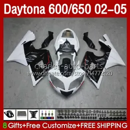 Karosseri kit för röd Silvery Daytona 600 650 CC Daytona650 02-05 Cowling 104HC.14 Daytona600 2002 2003 2004 2005 Bodys Daytona 600 02 03 04 05 Full Fairings