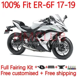 OEM-injektionsmögelmässor för Kawasaki Ninja 650R ER 6F 6 F ER6F 17 18 19 20 Kroppsarbete 18NO.12 NINJA650R ER6 F COWLING ER-6F 2017 2018 2019 2020 Body Kit Pearl White