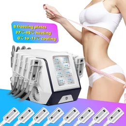 CE -godkänd kryolipolyscellulitborttagning Cryoterapi Fat Slim Freezing Machine 8 Cryo Plate For Body Slant Hud Drawning