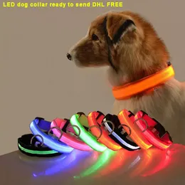 Spot Goods Nylon Pet Collar Läder LED Dog Collar Leashes Night Safety Light Blinkande Glöd i den mörka Små Cat Leash Puppy Designer