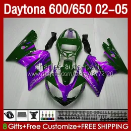 Bodywork Kit Daytona 650 600 CC 2002 2003 2004 2005 바디 132no.86 Cowling Daytona650 02-05 녹색 보라색 Daytona600 Daytona 600 02 03 04 05 ABS 오토바이 페어링