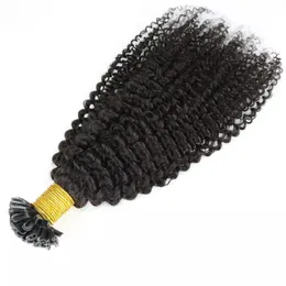 Wholesale Pre-bonded U Tip Hair Extensions Afor Kinky Curly Brazilian Human Hair Extension Natural Color #1 #2 #4 #27 #613 #99J 100strands Per Pack For Women