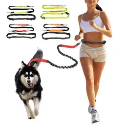 Obroże dla psów smycze jogging trakcja zwierząt domowych dłonie za darmo z regulowanym paskiem biodrowym długie refleksyjne kontrola liny dla jednego / dwóch psów
