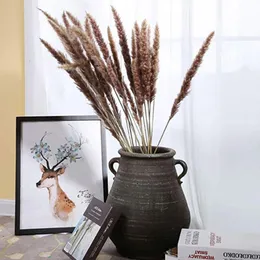 Dekorativa blommor kransar pampas vete öron svansgräs naturligt torkat bukett bröllop dekoration hö för fest bohemian homedecorativ