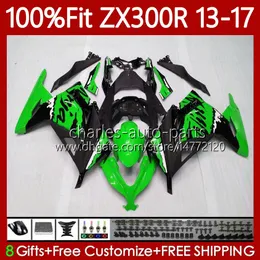 OEM Body For KAWASAKI Graffiti Hot NINJA EX ZX 3R 300R ZX-3R ZX-300R 13-17 125No.49 EX300R ZX300R ZX300 ZX3R 13 14 15 16 17 EX-300 2013 2014 2015 2016 2017 Injection Fairing