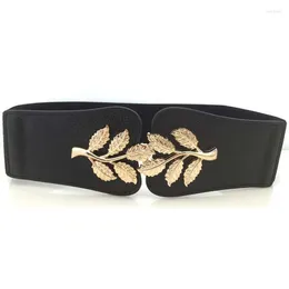 Belts Fashion Elastic Metal Leaf Buckle For Women Dress Accessories Retro Waistband Blue Pink White Black Adult BeltBelts Smal22