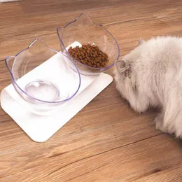 Cat Bowls matare Double Bowl Pet Elevated Transparent Dog Water Drinker Feeder med halkstativ för valpkittenförsörjning