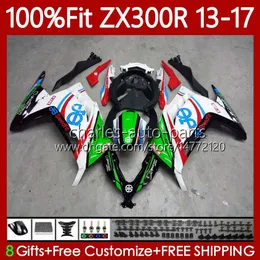 OEM-kropp för Kawasaki Ninja EX ZX 3R 300R ZX-3R ZX-300R 13-17 125NO.61 EX300R ZX300R ZX300 ZX3R 13 14 15 16 17 EX-300 2013 2014 2015 2016 2017 Injektionsfajning Grön vit