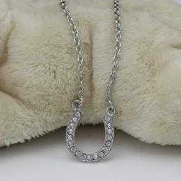 Neuankömmlinge Hufeisen -Halskette für Frauen Blei und Nickelfreie Reithöfchen -Hufeisenschmuck aus Zinklegierung mit tschechischen Kristallen
