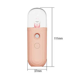 Cartoon Animal Nano Spray Mist Mist Parowca Twarz nawilżanie nawilżające opryskiwacz nawilżający Humidifier Narzędzia do pielęgnacji skóry 220507