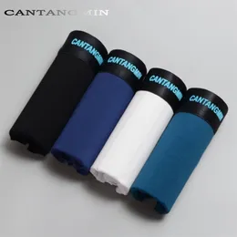 Cantangmin Brand Man Roupa Underwear Sexy Panties Cotton Skin Fabric Absorção de umidade respirável