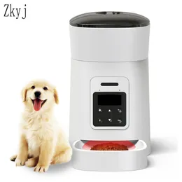 Smart Pet Feeder 4L PET Automatyczne powolne karmienie nagrywanie głosu Dozownik żywności LCD Screen Miski dla psów Y200917