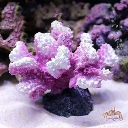 11x8x9cm Rium Artificial Coral Ornaments Różowa zielona żywica symulacyjna do dekoracji TIC TIC Y200917