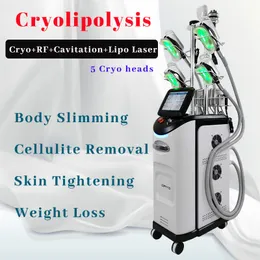 5 Cryo Heads Cryotherapy Body Slimming Machine Vacuum Therapy Natica Cellulite Rimozione 40k Cavitation Rf Addome Perdita di peso Uso multifunzionale