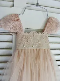 Rue Del Sol Blush Flower Girl Dress French Lace and Silk Tulle Dress for Baby Bird Brush Princess Dress Blush Tutu235V