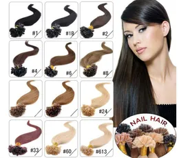 Elibes 14 "- 24" 0.8g / S 160g / lot 200S / lot Keratyna Nail U Tip Hair Pre Hair Extensions 1 # 1b # 2 # 4 # 6 # 27 # 99J # 27 # 613 # DHL Free Shpping