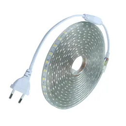 220V LED FlexibeテープSMD5050 LEDストリップPower EUプラグ60 LED / M IP67防水アウトドアの家の装飾文字列照明送料無料