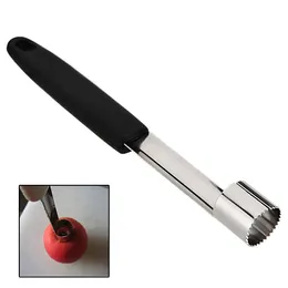 High Quality Stainless Steel Core Remover Fruits Apple Corer Pitted 18cm E00163 BARD