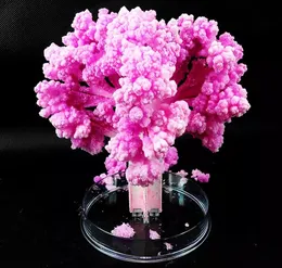 Iwish Visual 2017 14x11cm Pink Big Grow Magic Paper Sakura Tree Magiskt växande Träd Kit Japanska Skrivbord Körsbärs Blossom Barnleksaker 100st