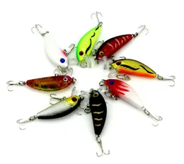 Buy Plastic Trout Online Shopping at