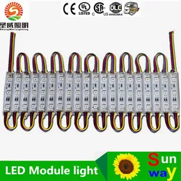 LED-modul Ljuslampa SMD 5050 Teckenbokstäver LED Bakgrund Ljus SMD5050 20PCS 3 LED DC12V IP65 Gratis frakt