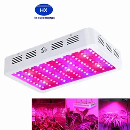 New arrive 600W 800W 1000W LED Grow Light Kit Free Power cord 10W Hydroponic Grow Lamp Panel DHL USA UK Canada Germany