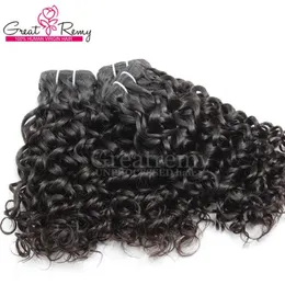 3pcs/lot Malaysian Human Hair Weaves Dyeable Natural Hair Wefts Water Wave Big Curly Remy Virgin Hair Weaves Greatremy Drop Shipping