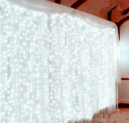 300LED Fairy Stringつぶれたカーテンライト300bulbsクリスマスクリスマス結婚式ガーデンパーティーの装飾3m * 3m 12ストランドAC110V-220V